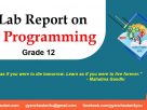 Lab Report on C Programming for Grade 12