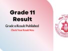 Grade 11 Result